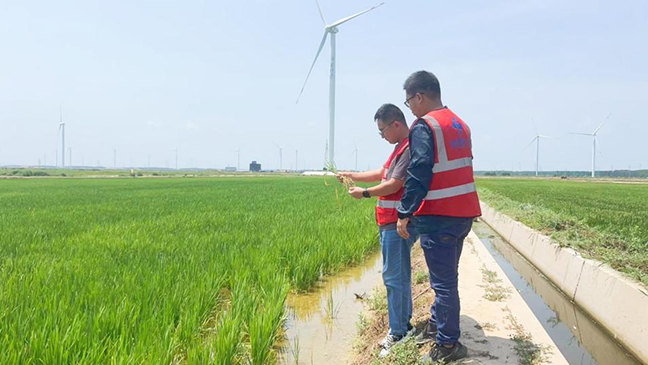 鸿运国际·(中国)最新官方网站