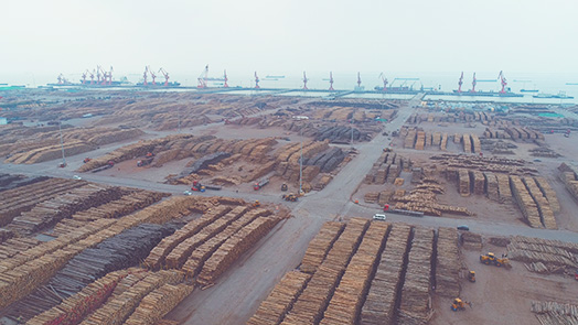 鸿运国际·(中国)最新官方网站